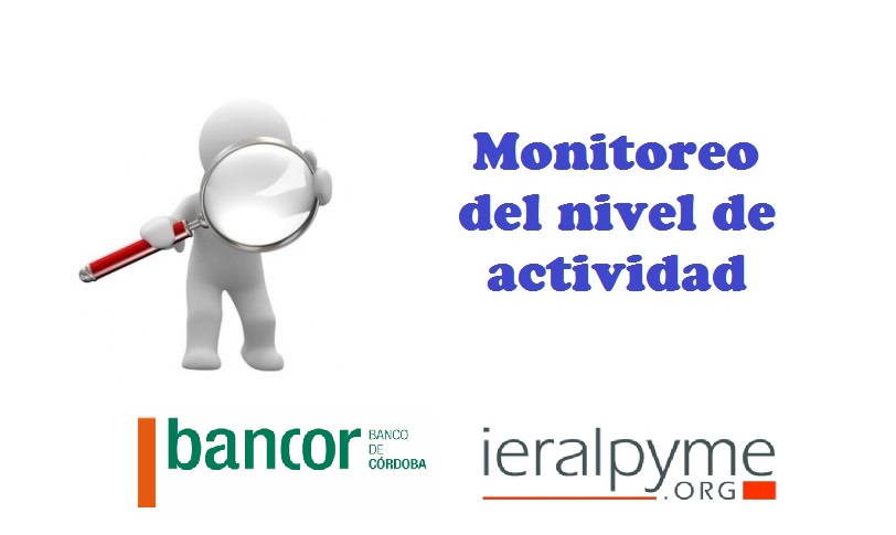 Monitoreo del nivel de actividad