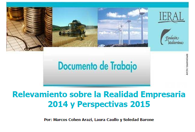 Relevamiento sobre la Realidad Empresaria 2014 y Perspectivas 2015