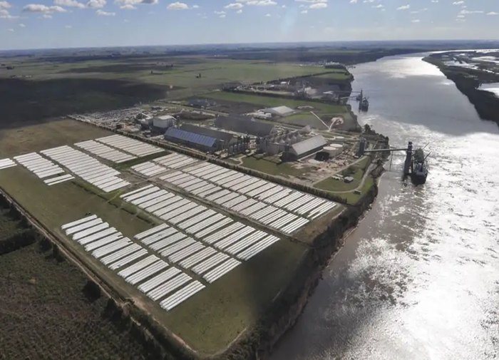 M�s exportaciones y menos industrias: dos caras de la econom�a en la era Milei